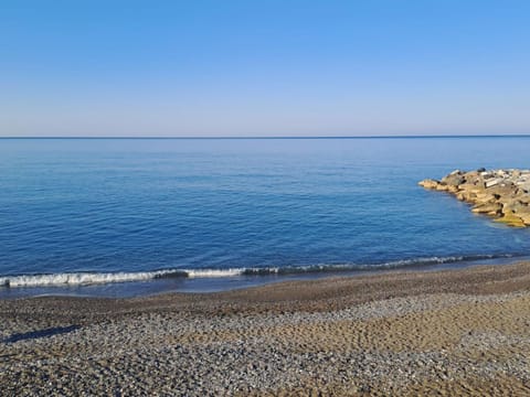 Neighbourhood, Beach