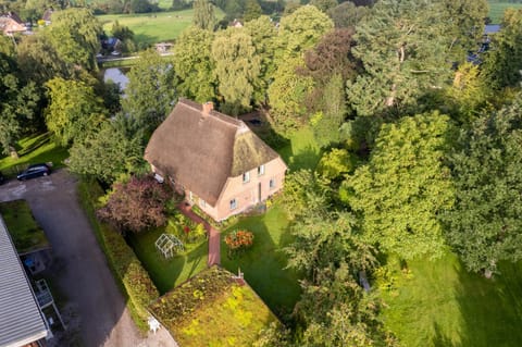 Property building, Neighbourhood, Natural landscape, Bird's eye view, Garden