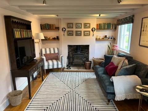 Library, TV and multimedia, Living room, Seating area, fireplace