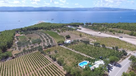 Neighbourhood, Bird's eye view