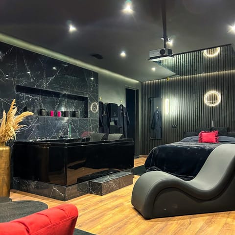 Bed, Living room, Photo of the whole room, Seating area, Bedroom