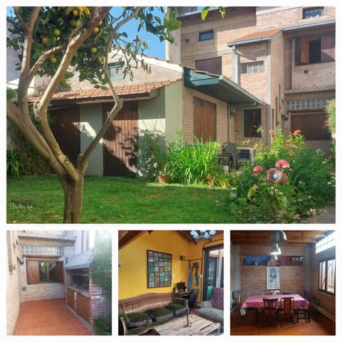 Patio, Garden, Garden view