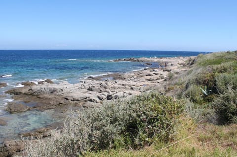 Nearby landmark, Beach