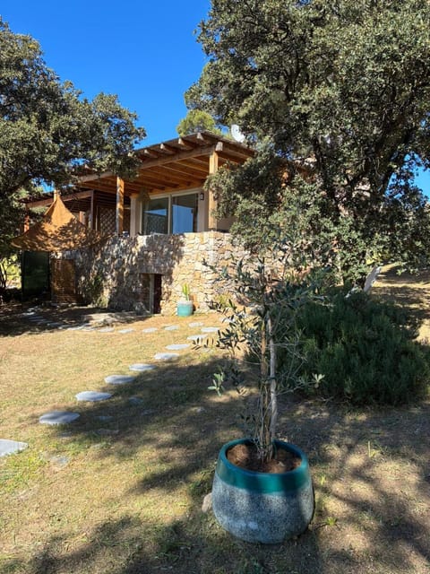 Property building, Garden view