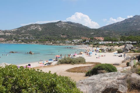 Nearby landmark, Beach