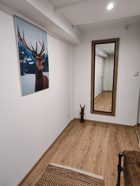 Ferienwohnung RESL - geschmackvoll renoviert & zentral im historischen Schindelhaus Apartment in Oberstaufen