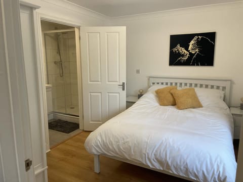 Modern The Mews Apartment Apartment in Bury Saint Edmunds