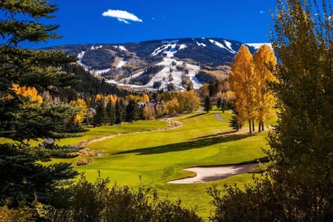 Lodge at 100 W Beaver Creek Blvd 705 House in Avon