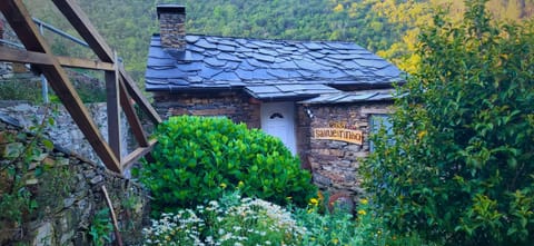 Property building, Garden, Garden view