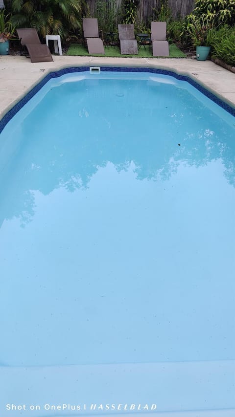 Lounge or bar, Swimming pool, sunbed, sunbed