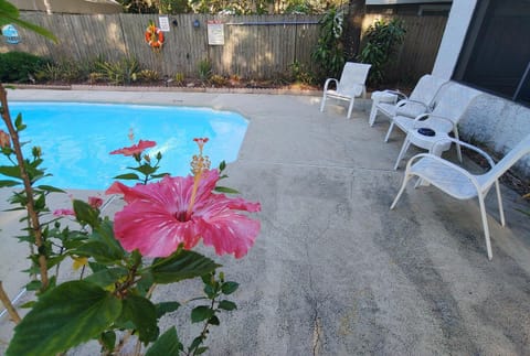 Patio, Garden, Garden view, Pool view, Swimming pool, sunbed