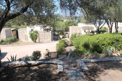 Natural landscape, Garden, Garden view