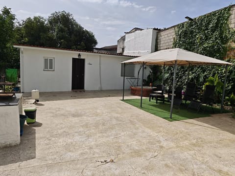 Property building, Patio, Spring, Garden