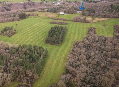 Property building, Bird's eye view, View (from property/room)
