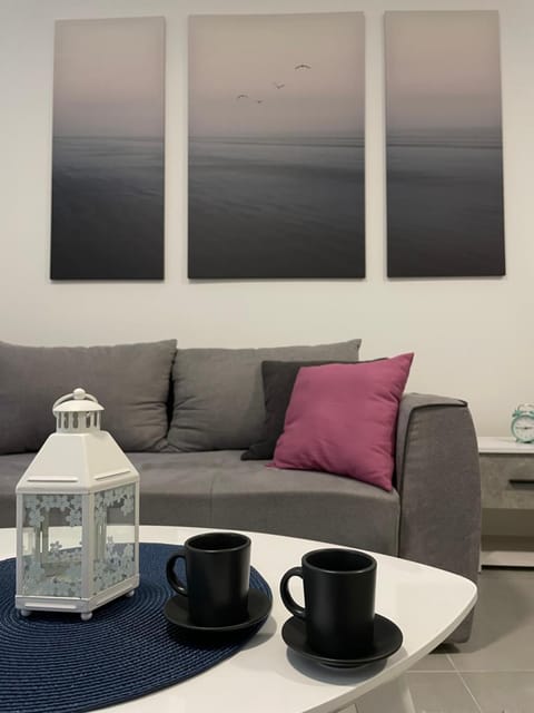 Luxury Centar 2 Apartment in Serbia