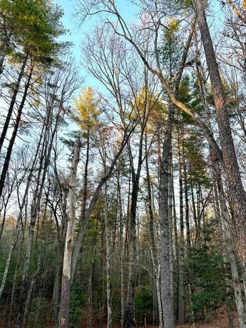 Beautiful & peaceful cabin w/ deck garden & fire-pit Cabin in Tennessee