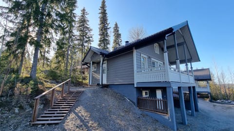 Property building, Day