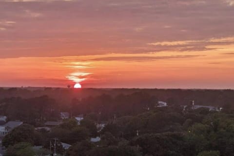 Oceanfront Get Away Bed and Breakfast in North Myrtle Beach