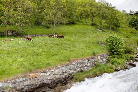 Aux Pieds du Malatra' 1 Apartment in Aosta Valley, Italy