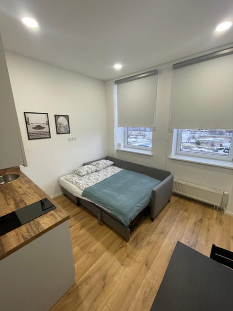 25 Airport Apartment Apartment in Vilnius