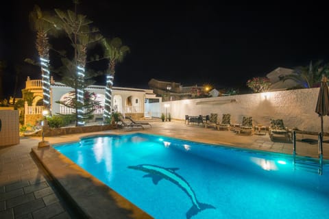 Night, Pool view, Swimming pool, sunbed