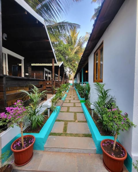 Day, Garden, Garden view