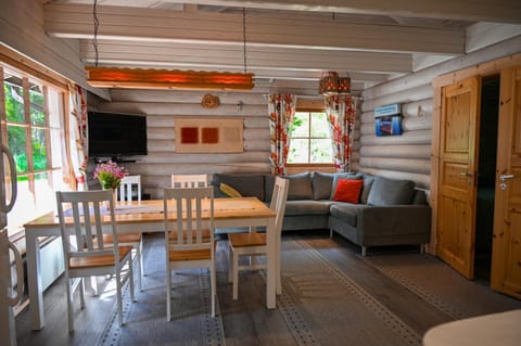 TV and multimedia, Kitchen or kitchenette, Living room, Seating area, Dining area, Evening entertainment