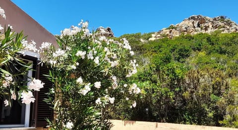 Ferienhaus Casa Mirto - Villaggio Galanu House in Sardinia