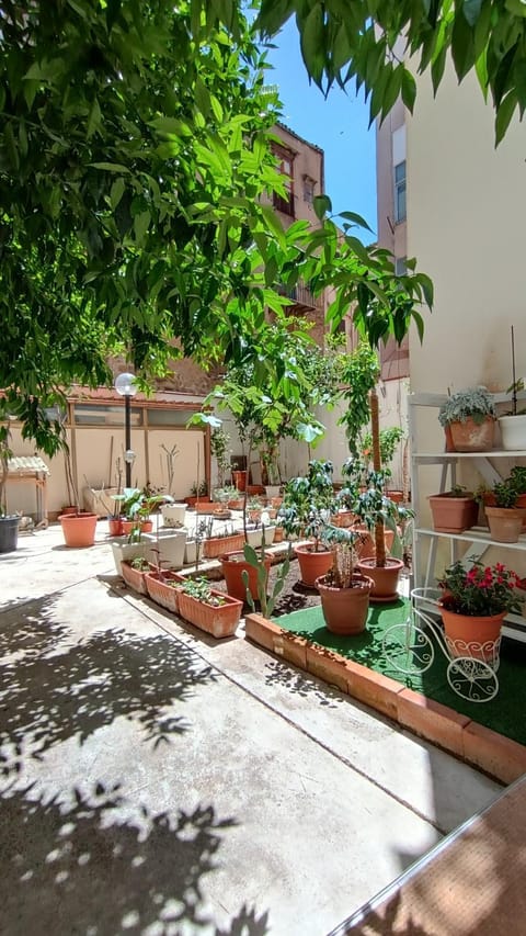 Garden, Garden view