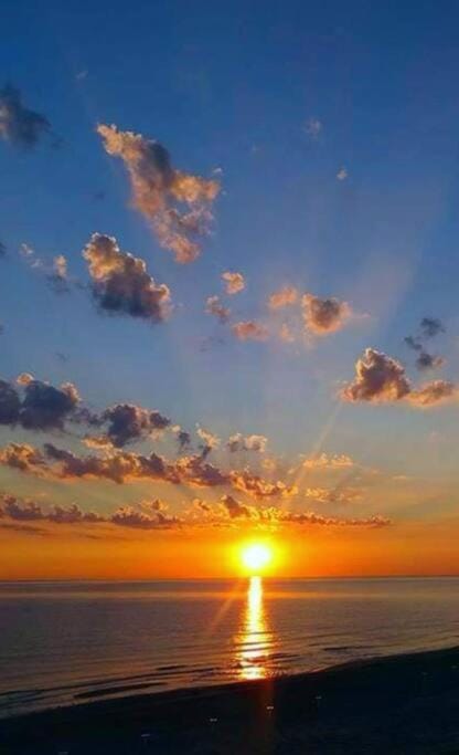 Appartamento Citara Apartment in Forio