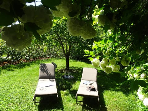 Spring, Natural landscape, Garden, Garden view, sunbed