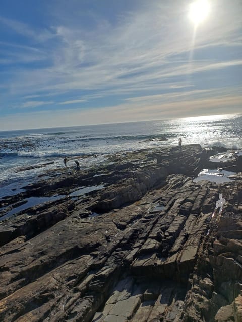 QUEENS BEACH STUDiO HALAAL Apartment in Sea Point