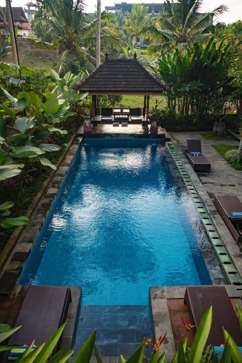 Garden, Swimming pool