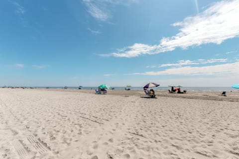 Playa Flor de Cana Apartment in Briarcliffe Acres