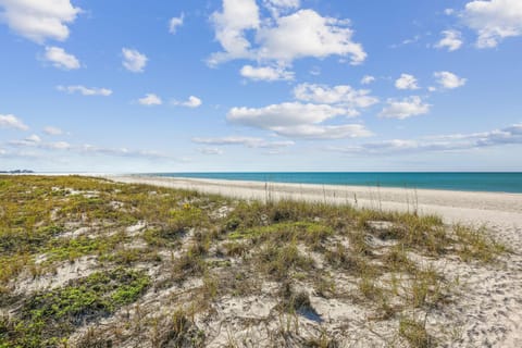 Beach Life 5 House in Treasure Island