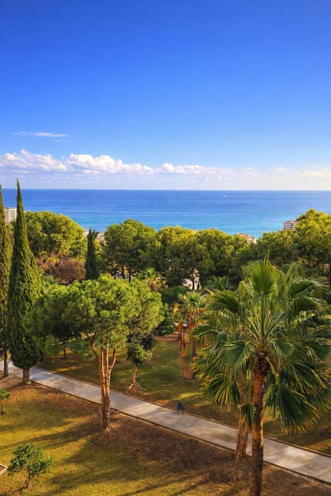Natural landscape, Garden, Garden view, Sea view