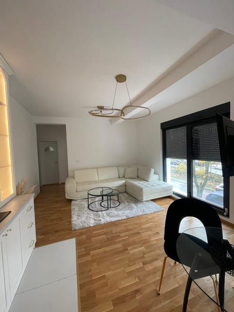 Apartment in Vila dr Milovan Apartment in Serbia