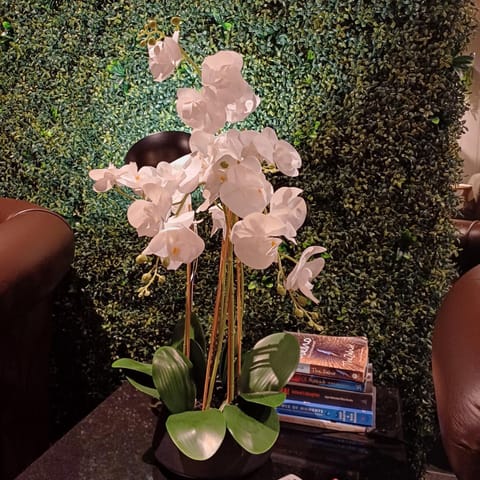 FRESH ATLANTiC OCEAN ViEW STUDiO Halaal Apartment in Sea Point