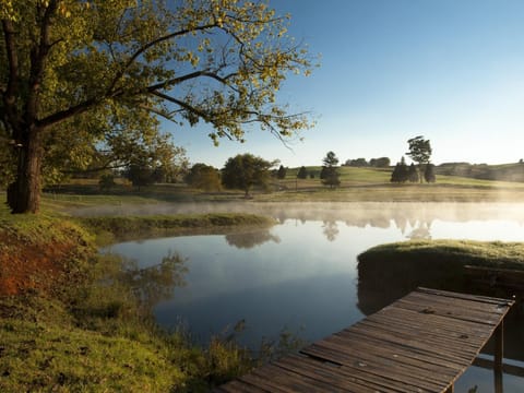 Natural landscape, Summer, Lake view