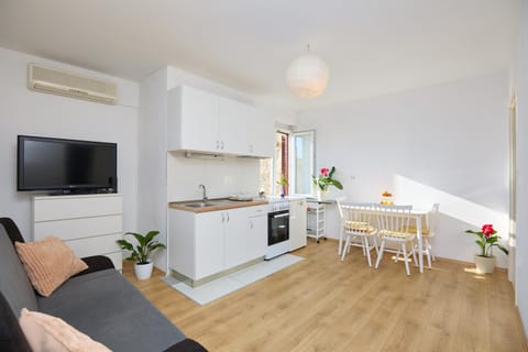 TV and multimedia, Kitchen or kitchenette, Living room, Dining area, pet friendly, air conditioner