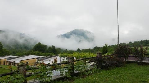 Natural landscape