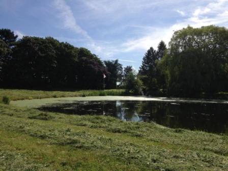 Whitethorn Bed and Breakfast Bed and Breakfast in Congleton