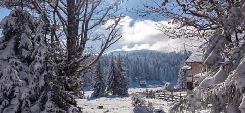 Koliba Vuk Chalet in Zlatibor District, Serbia