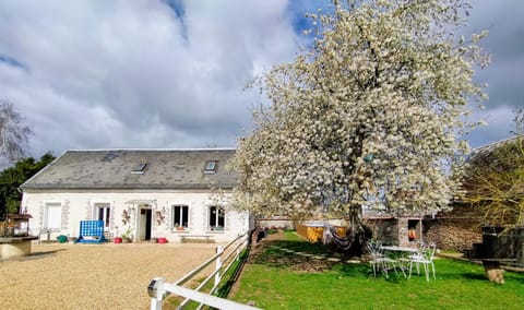 Property building, Garden view