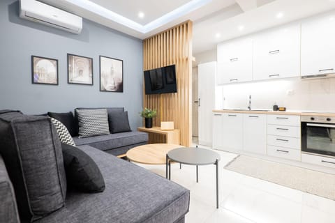 TV and multimedia, Kitchen or kitchenette, Living room, Seating area, pet friendly, stove, air conditioner