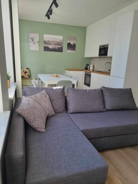 Kitchen or kitchenette, Living room, Seating area