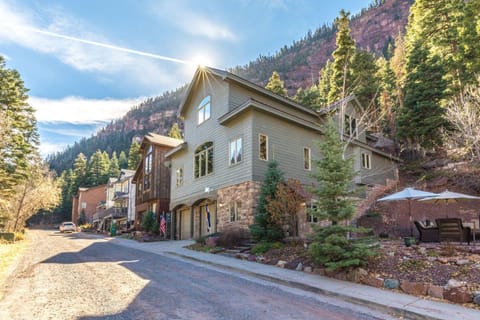 Hillside House in Ouray CO House in Ouray
