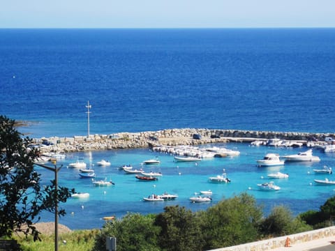 Sea view, Area and facilities