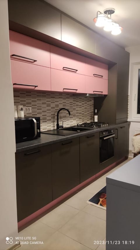 Kitchen or kitchenette, minibar, pet friendly, stove