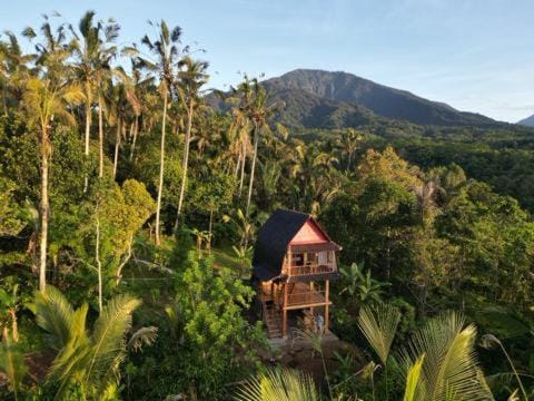 Bali jungle cabin Cabin in East Selemadeg